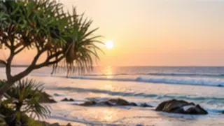 Alumy Creek airport transfers