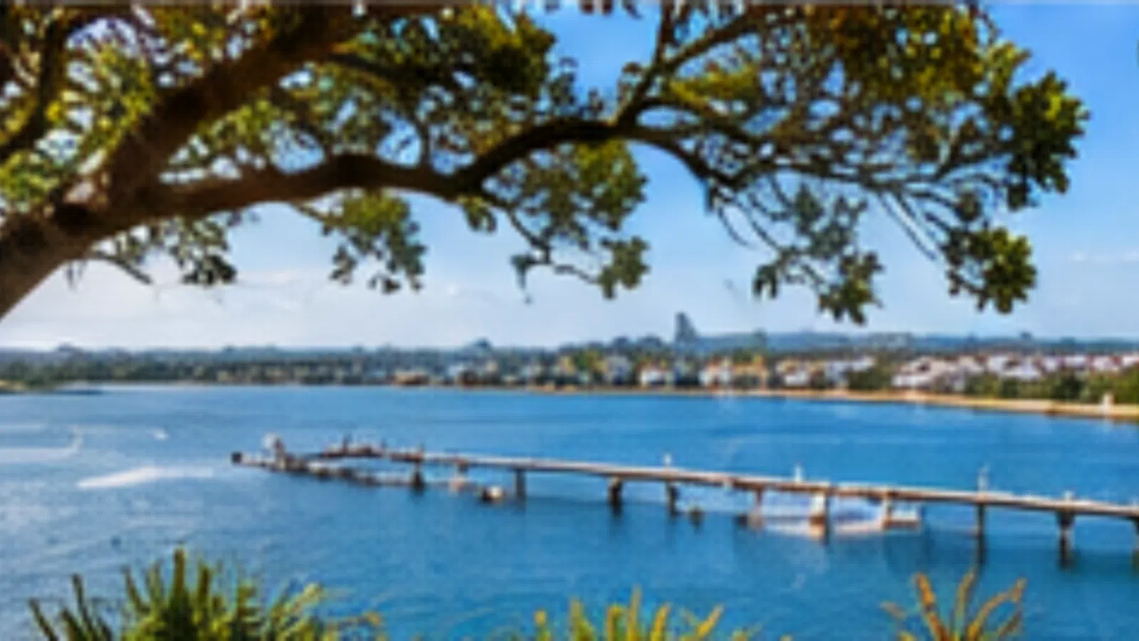 Banora Point airport transfers