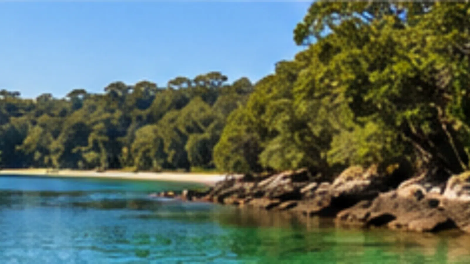 Brunswick Heads airport transfers