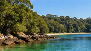 Brunswick Heads airport transfers