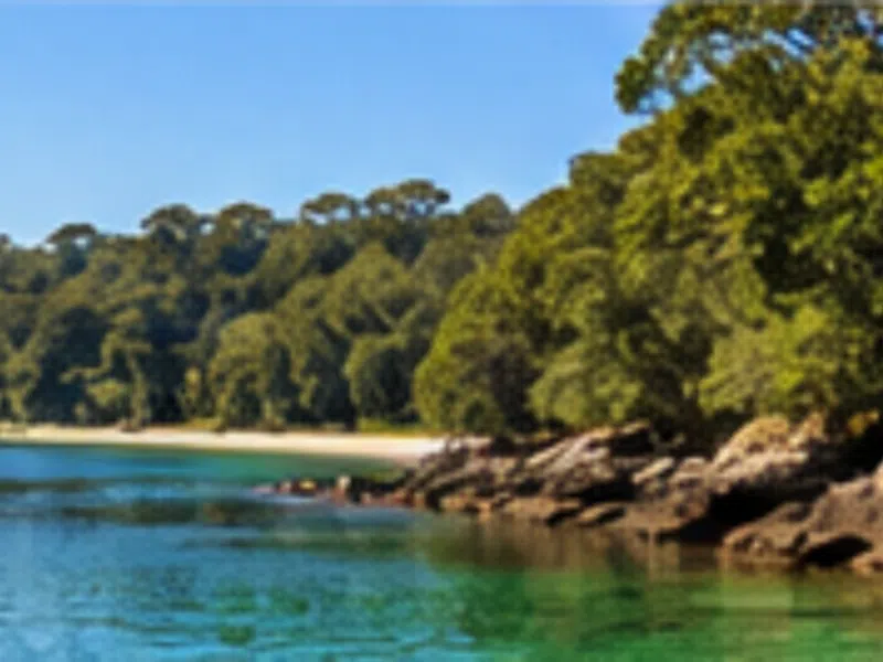 Byron Bay local airport transfer area