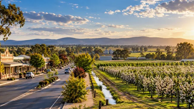 Creightons Creek airport transfers