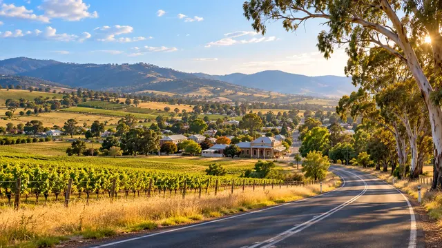 Sugarloaf Creek airport transfers