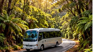 Benwerrin airport transfers
