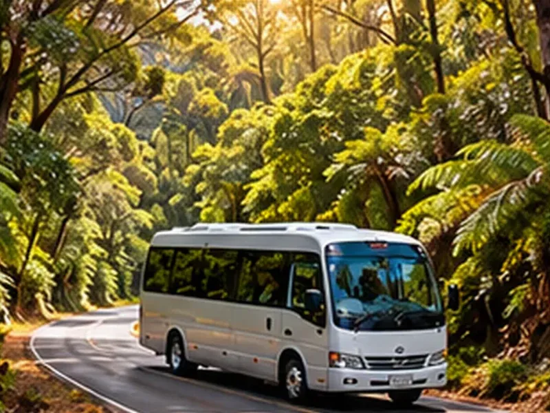 Gnarwarre local airport transfer area