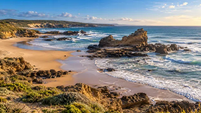 Surf Beach airport transfers in Phillip Island