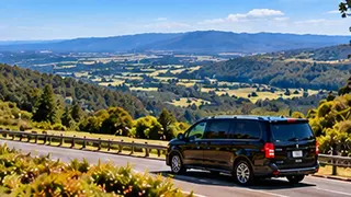 Bayles airport transfers