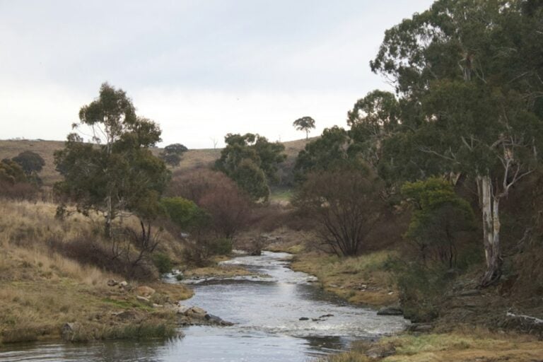 Goulburn Region Airport Transfers